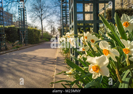 Coulee Verte Spaziergang in Paris im Frühjahr, auch genannt Promenade plantee Stockfoto