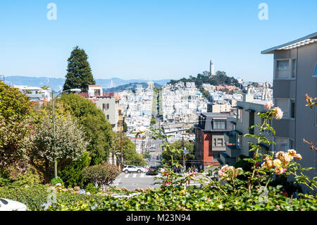 SAN FRANCISCO, Kalifornien - 8. SEPTEMBER 2015 - Blick auf San Francisco von der Lombard Street mit Coit Tower in der Ferne Stockfoto