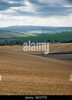 Gepflügte Felder und Weiden bedecken die Landschaft der Dorset Downs Hügeln, mit Hardy Denkmal in der Ferne. Stockfoto