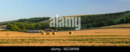 Felder der frisch geerntete Heu Ballen trocken in der Sonne in Felder unter der South Downs Hügeln bei Ringmer in East Sussex, England. Stockfoto