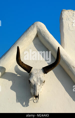 Stier Hörner und Schädel Hängen an Giebelwand eines typischen Camargue Haus in Les Saintes-Maries-de-la-Mer Provence Frankreich Stockfoto