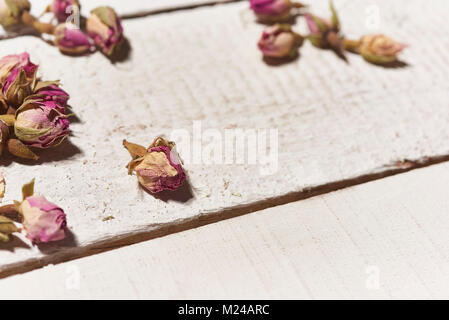 Einige getrocknete Rosen auf weiß Holz- Hintergrund Stockfoto