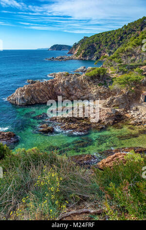 Nettes Detail aus Costa Brava Küsten in Spanien, La Fosca Stockfoto