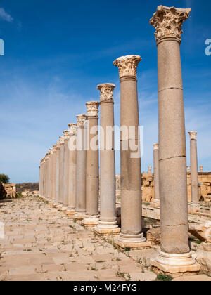 Leptis Magna, korinthischen Säulen aufgereiht Stockfoto