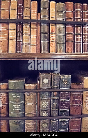 Digitale Malerei der alten Bücher im Regal Stockfoto