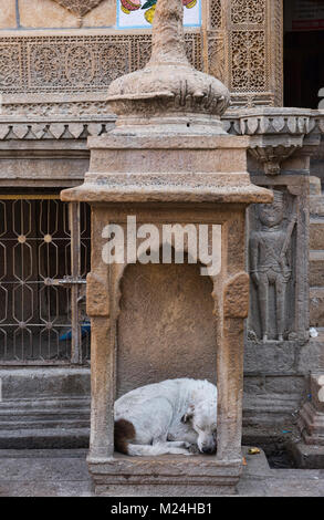 Improvisierte Hundehütte, Jaisalmer, Rajasthan, Indien Stockfoto