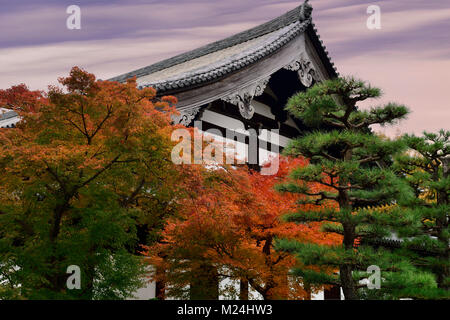 Herbst Landschaft eines Japanischen Garten vor tofukuji temple Gebäude. Tofuku-ji, Higashiyama-ku, Kyoto, Japan 2017. Stockfoto