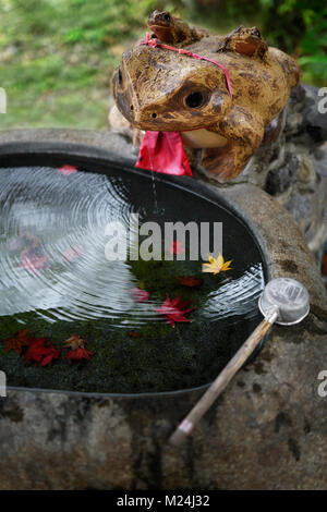 Chozubachi, Wasser Waschung Becken für reinigungsritual an Fuku Kaeru, Fortune Frosch Schrein am Ausgang des Fushimi Inari Taisha Kopf Schrein. Kaeru bedeutet Stockfoto