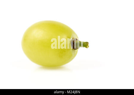 Frische, grüne Trauben auf weißem Hintergrund Stockfoto