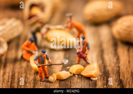 Miniatur Figuren arbeiten an Erdnüsse Makro Fotografie auf Holz Tisch Stockfoto