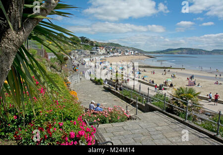 Polpular Badeort von Lyme Regis, Dorset Stockfoto