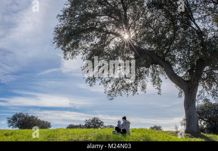 Mutter und Kleinkind Sohn spielen unter Acorn Tree. Die Natur genießen in der Familie Konzept Stockfoto