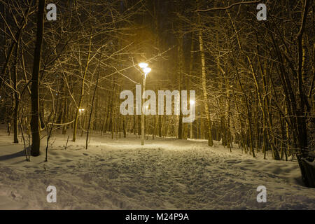 Pfad in ein Wald voll mit Schnee und durch Straßenlaternen beleuchtet Stockfoto