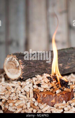 Holz- pellets im Feuer infront Stück Holz Stockfoto