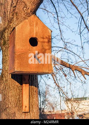 Vogelhäuschen am Baum in der Abendsonne Stockfoto
