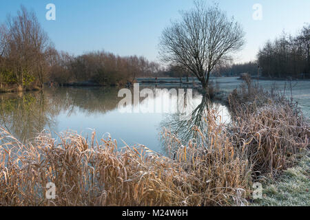 Ein Bild von einem Blick über den See an einem frostigen Morgen im Winter bei Eye Kettleby Seen zum Angeln, Melton Mowbray, Leicestershire, England, Großbritannien Stockfoto