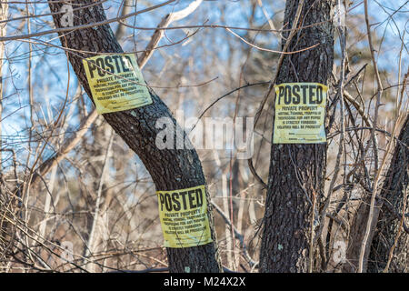 Drei Zeichen in einem Baum, gab private Eigenschaft Stockfoto