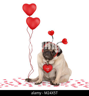 Schön süß Valentines Tag mops Welpe Hund sitzen auf Konfetti, das Tragen von Herzen Diadem und halten roten herzförmigen Luftballons, auf Rückseite weiß, isoliert Stockfoto