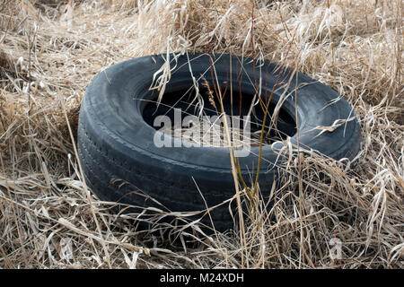 Das Auto Reifen liegt auf einem trockenen Gras Stockfoto