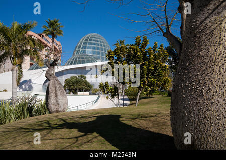 Orchidarium de Estepona. Stockfoto