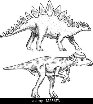 Dinosaurier Stegosaurus, Pachycephalosaurus, Lexovisaurus, Skelette, Fossilien. Prähistorische Reptilien, Tier graviert Hand gezeichnet Vektor. Stock Vektor