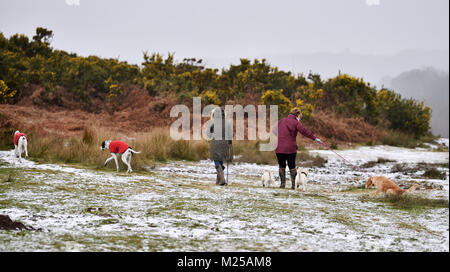 Ashdown Forest UK am 5.Februar 2018 - Hund Wanderer genießen Sie den Schnee in der Ashdown Forest in Sussex heute nach einer Nacht fallen. Das Wetter ist kalt Prognose in Großbritannien in den nächsten Tagen Gutschrift zu bleiben: Simon Dack/Alamy leben Nachrichten Stockfoto