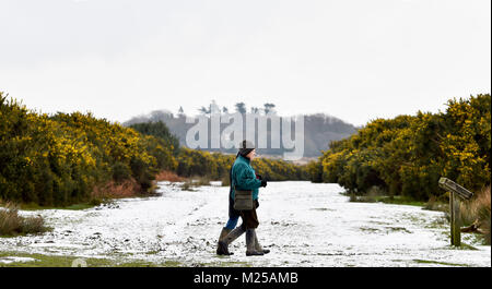 Ashdown Forest UK am 5.Februar 2018 - Hund Wanderer genießen Sie den Schnee in der Ashdown Forest in Sussex heute nach einer Nacht fallen. Das Wetter ist kalt Prognose in Großbritannien in den nächsten Tagen Gutschrift zu bleiben: Simon Dack/Alamy leben Nachrichten Stockfoto