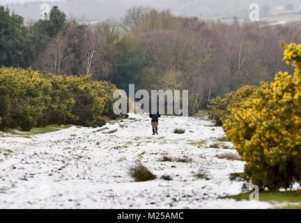 Ashdown Forest UK am 5.Februar 2018 - ein Wanderer geniesst den Schnee durch die Ashdown Forest in Sussex heute nach einer Nacht fallen. Das Wetter ist kalt Prognose in Großbritannien in den nächsten Tagen Gutschrift zu bleiben: Simon Dack/Alamy leben Nachrichten Stockfoto