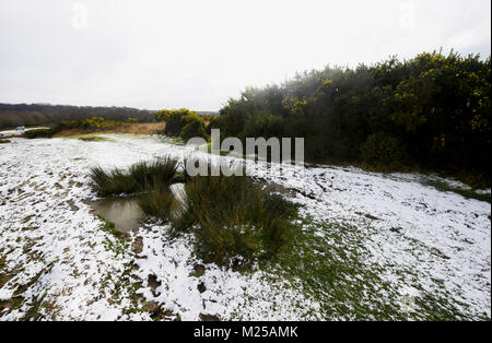 Ashdown Forest UK am 5.Februar 2018 - einer trostlosen Winter verschneite Landschaft über die Ashdown Forest in Sussex heute nach einer Nacht fallen. Das Wetter ist kalt Prognose in Großbritannien in den nächsten Tagen Gutschrift zu bleiben: Simon Dack/Alamy leben Nachrichten Stockfoto