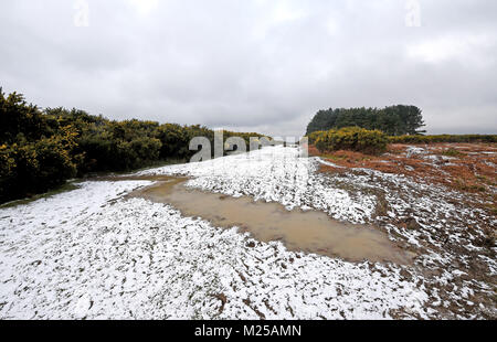 Ashdown Forest UK am 5.Februar 2018 - einer trostlosen Winter verschneite Landschaft über die Ashdown Forest in Sussex heute nach einer Nacht fallen. Das Wetter ist kalt Prognose in Großbritannien in den nächsten Tagen Gutschrift zu bleiben: Simon Dack/Alamy leben Nachrichten Stockfoto