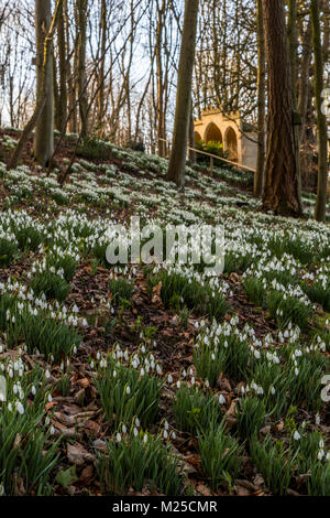 Rokokogarten in Painswick, UK. Am 5.Februar 2018 und Der Rokokogarten in Painswick, Gloucestershire lebt mit seiner atemberaubenden jährlichen Anzeige von Schneeglöckchen. Quelle: David Broadbent/Alamy leben Nachrichten Stockfoto