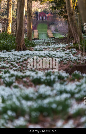 Rokokogarten in Painswick, UK. Am 5.Februar 2018 und Der Rokokogarten in Painswick, Gloucestershire lebt mit seiner atemberaubenden jährlichen Anzeige von Schneeglöckchen. Quelle: David Broadbent/Alamy leben Nachrichten Stockfoto