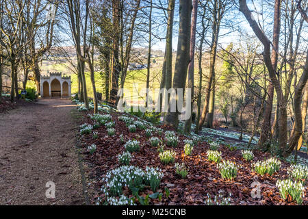 Rokokogarten in Painswick, UK. Am 5.Februar 2018 und Der Rokokogarten in Painswick, Gloucestershire lebt mit seiner atemberaubenden jährlichen Anzeige von Schneeglöckchen. Quelle: David Broadbent/Alamy leben Nachrichten Stockfoto