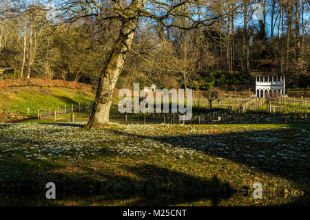 Rokokogarten in Painswick, UK. Am 5.Februar 2018 und Der Rokokogarten in Painswick, Gloucestershire lebt mit seiner atemberaubenden jährlichen Anzeige von Schneeglöckchen. Quelle: David Broadbent/Alamy leben Nachrichten Stockfoto