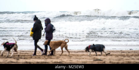 Gijon, Spanien. 05. Januar, 2018. Zwei Frauen zu Fuß auf den Strand San Lorenzo mit ihren Hunden in Gijon, während eines Tages, der starken Brunnen auf dem Meer. Im Norden von Spanien ist in Alarm durch den Schnee, Regen, Flügel und Schwellen. © David Gato/Alamy leben Nachrichten Stockfoto