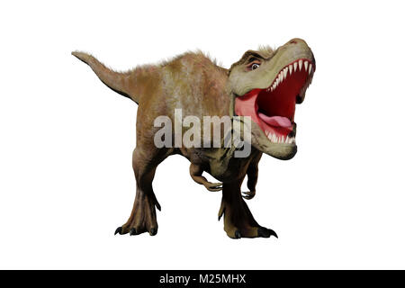 Tyrannosaurus rex brüllend, T-rex Dinosaurier (3d-Abbildung auf weißem Hintergrund) Stockfoto