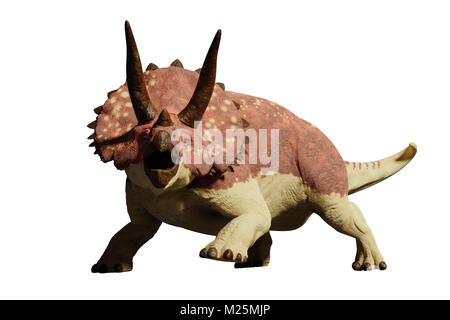 Dinosaurier TRICERATOPS horridus (3D-Render auf weißem Hintergrund) Stockfoto