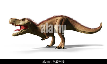 Tyrannosaurus Rex T-Rex Dinosaurier aus der Kreidezeit (3D-Render mit Schatten auf weißem Hintergrund) Stockfoto