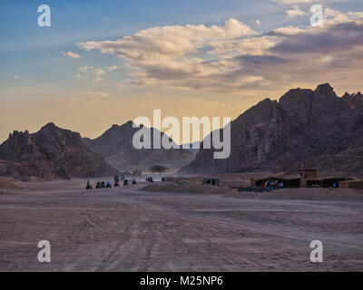 Buggy Autos in der Wüste Sinai in Ägypten Stockfoto