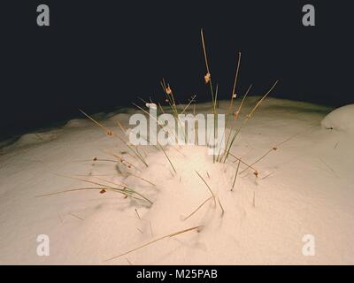 Gefrorene llängs Stiel mit Gras von schweren Schnee bedeckt. Winter Spaziergang innerhalb von Vollmond Nacht Stockfoto