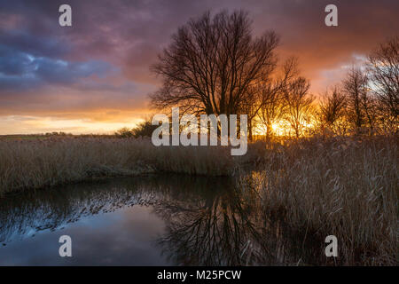 Sonnenuntergang am weit Ings National Nature Reserve, Barton-upon-Humber, North Lincolnshire, Großbritannien. Winter, 8. Februar 2018. Stockfoto