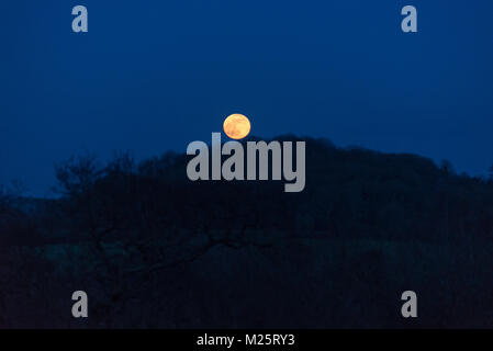 Gelb full moon super Mond über einen von Bäumen gesäumten Hügel in Somerset, Großbritannien Stockfoto