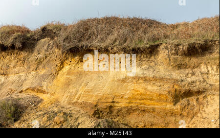 Fernsicht auf einem niedrigen Felswand mit Sand Martin nest Bohrungen, Thorpness, Suffolk, England Stockfoto