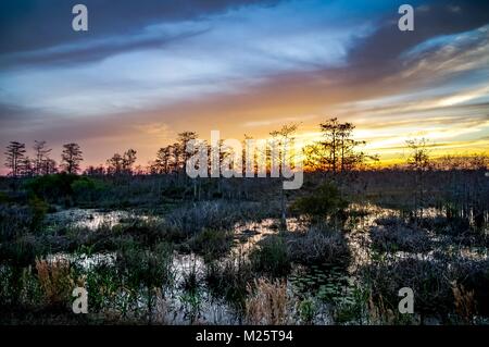 Sonnenuntergang Silhouetten in den Sümpfen von Louisiana Stockfoto