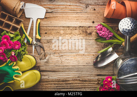 Gartengeräte und Blume auf hölzernen Hintergrund Stockfoto