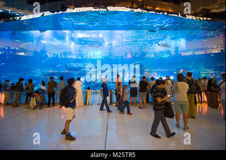 DUBAI, VEREINIGTE ARABISCHE EMIRATE - Jan 02, 2018: Touristen sind gerade an einem großen Aquarium in der Shopping Mall im Zentrum der Stadt in der Nähe des Burj K Stockfoto