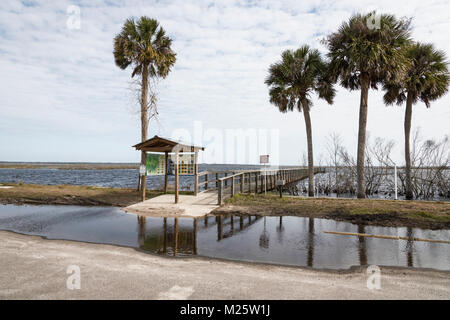 Paynes Prairie Preserve Roadside Park auf der SR Nr. 441 in Gainesville, Florida, USA Stockfoto