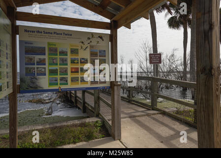 Paynes Prairie Preserve Roadside Park auf der SR Nr. 441 in Gainesville, Florida, USA Stockfoto