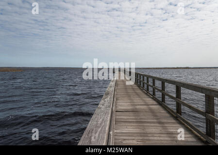 Paynes Prairie Preserve Roadside Park auf der SR Nr. 441 in Gainesville, Florida, USA Stockfoto