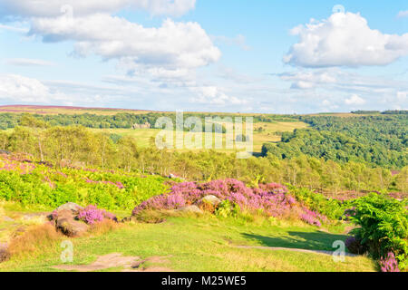High in The Derbyshire Peak District an einem Sommertag. Auf der Suche von einem Gras und Heather Hill Top über die Landschaft. Stockfoto
